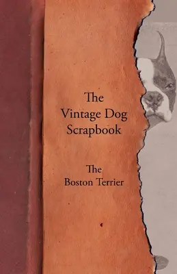 Historický album o psoch - Bostonský teriér - The Vintage Dog Scrapbook - The Boston Terrier
