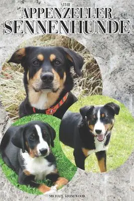 Appenzeller Sennenhunde: Kompletný a komplexný sprievodca pre majiteľov: Kúpa, vlastníctvo, zdravie, starostlivosť, výcvik, poslušnosť, porozumenie a - The Appenzeller Sennenhunde: A Complete and Comprehensive Owners Guide To: Buying, Owning, Health, Grooming, Training, Obedience, Understanding and
