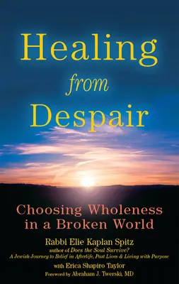 Uzdravenie zo zúfalstva: Zúfalstvo a zúfalstvo: Zúfalstvo a zúfalstvo: Voľba celistvosti v rozbitom svete - Healing from Despair: Choosing Wholeness in a Broken World