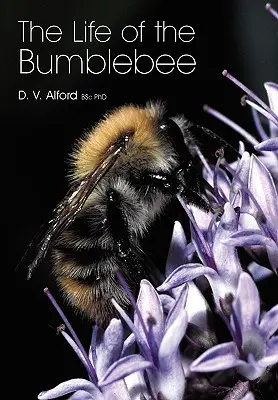 Život čmeliaka - The Life of the bumblebee