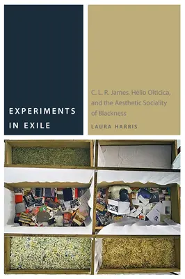 Experimenty v exile: R. James, Hlio Oiticica a estetická sociálnosť černošstva - Experiments in Exile: C. L. R. James, Hlio Oiticica, and the Aesthetic Sociality of Blackness