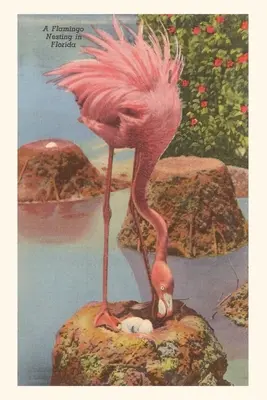 Vintage Journal Hniezdenie plameniakov na Floride - Vintage Journal Flamingo Nesting in Florida