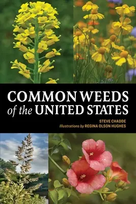 Bežné buriny Spojených štátov - Common Weeds of the United States