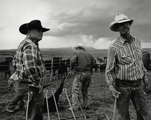 Otvorený rozsah: Americký kovboj s veľkou výbavou - Open Range: America's Big-Outfit Cowboy