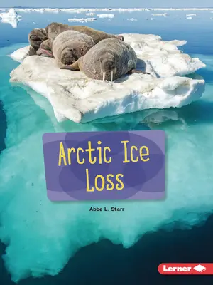 Úbytok ľadu v Arktíde - Arctic Ice Loss
