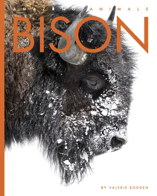 Zubor - Bison