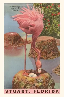 Vintage Journal Plameniak hniezdiaci v Stuarte, Florida - Vintage Journal Flamingo Nesting in Stuart, Florida