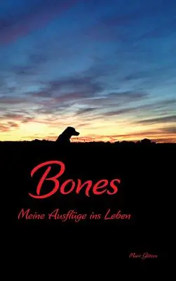 Kosti - Bones