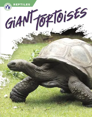 Korytnačky obrovské - Giant Tortoises
