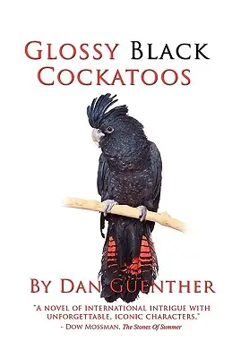 Čierne lesklé kakadu - Glossy Black Cockatoos