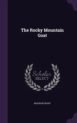 Koza zo Skalistých hôr - The Rocky Mountain Goat