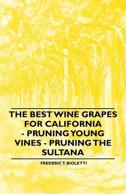 Najlepšie hrozno na výrobu vína v Kalifornii - Prerezávanie mladých viníc - Prerezávanie sultánky - The Best Wine Grapes for California - Pruning Young Vines - Pruning the Sultana