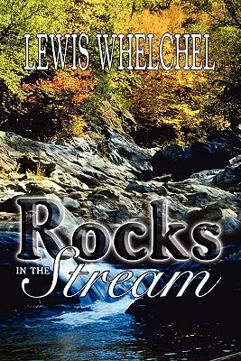 Kamene v potoku - Rocks in the Stream