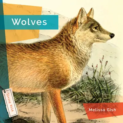 Vlci - Wolves