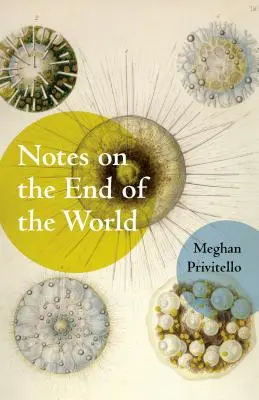Poznámky o konci sveta - Notes on the End of the World