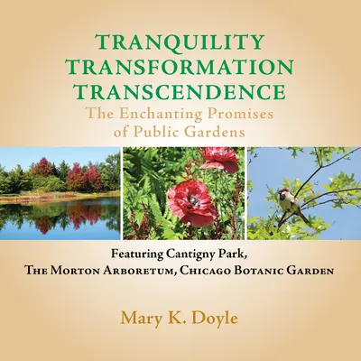 Tranquility Transformation Transcendence (Transcendencia premeny pokoja): Očarujúce prísľuby verejných záhrad - Tranquility Transformation Transcendence: The Enchanting Promises of Public Gardens