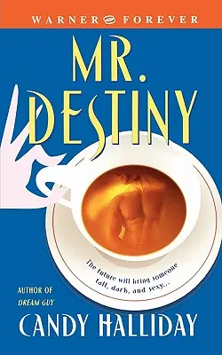 Pán osud - Mr. Destiny