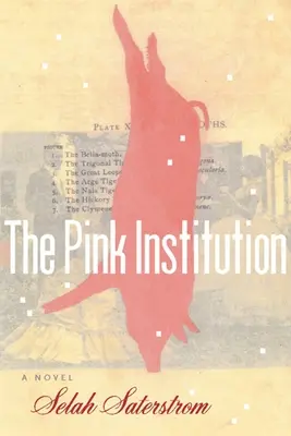Ružová inštitúcia - The Pink Institution