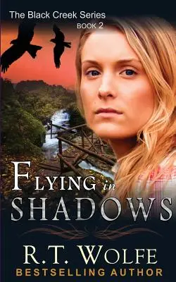 Lietanie v tieňoch (Séria Black Creek, kniha 2) - Flying in Shadows (The Black Creek Series, Book 2)