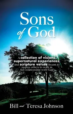 Boží synovia: A collection of visions, supernatural experiences, and scripture verses intended to inspire others to walk in full relati - Sons of God: A collection of visions, supernatural experiences, and scripture verses meant to inspire others to walk in full relati