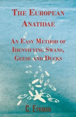 Európske anatidae - jednoduchá metóda určovania labutí, husí a kačíc - The European Anatidae - An Easy Method of Identifying Swans, Geese and Ducks