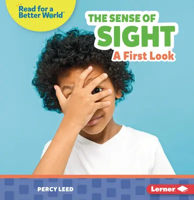 Zmysel pre zrak: Prvý pohľad - The Sense of Sight: A First Look