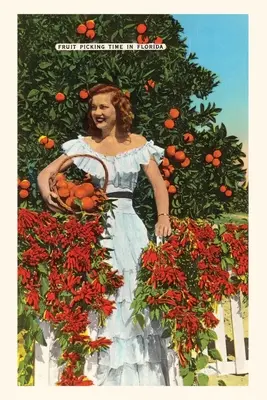 Vintage Journal Southern Belle, pomaranče, Florida - Vintage Journal Southern Belle, Oranges, Florida