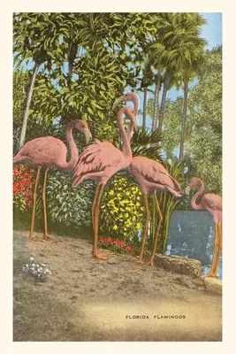 Vintage Journal Plameniaci, Florida - Vintage Journal Flamingos, Florida