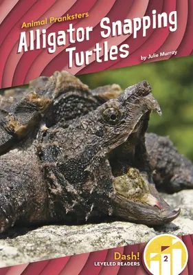Želvy aligátorové - Alligator Snapping Turtles