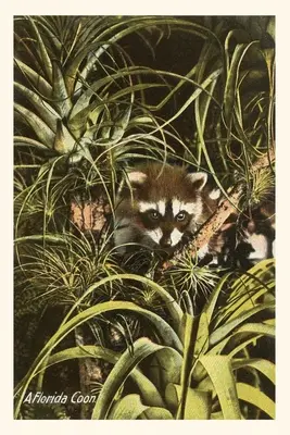 Vintage Journal Floridský mýval, ananásy - Vintage Journal A Florida Coon, Pineapples