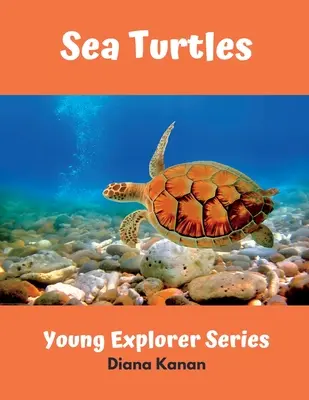 Morské korytnačky - Sea Turtles