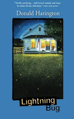 Blesková chyba - Lightning Bug