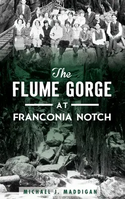 Prielom rieky Flume vo Franconia Notch - The Flume Gorge at Franconia Notch