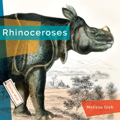 Nosorožce - Rhinoceroses