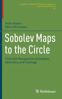 Sobolevove mapy do kruhu: Z pohľadu analýzy, geometrie a topológie - Sobolev Maps to the Circle: From the Perspective of Analysis, Geometry, and Topology