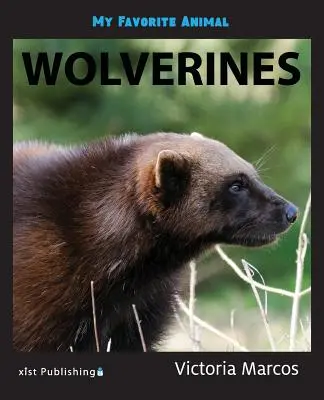 Moje obľúbené zviera: Rosomáci - My Favorite Animal: Wolverines