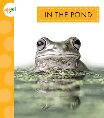 V rybníku - In the Pond