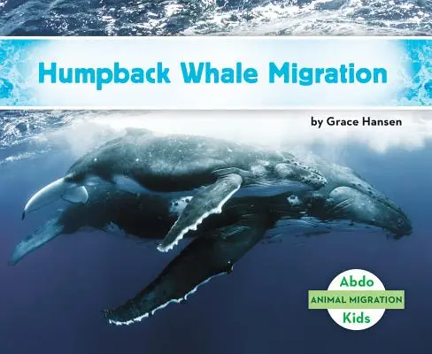 Migrácia veľrýb hrbatých - Humpback Whale Migration