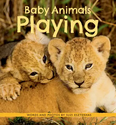 Hrajúce sa mláďatá zvierat - Baby Animals Playing