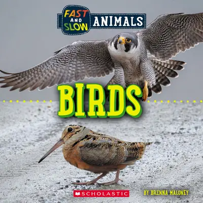 Rýchlo a pomaly: Vtáky (Divoký svet) - Fast and Slow: Birds (Wild World)