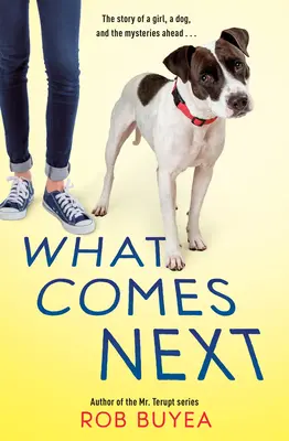 Čo bude nasledovať - What Comes Next