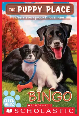 Bingo (miesto pre šteňatá #65) - Bingo (the Puppy Place #65)