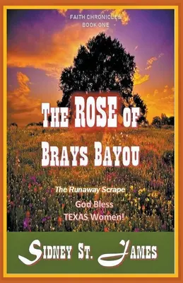 Ruža z Brays Bayou - Škraboška na úteku - The Rose of Brays Bayou - The Runaway Scrape
