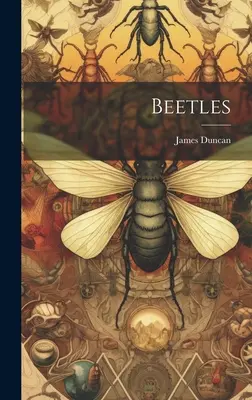 Chrobáci - Beetles