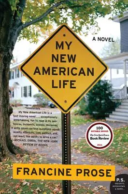 Môj nový americký život - My New American Life