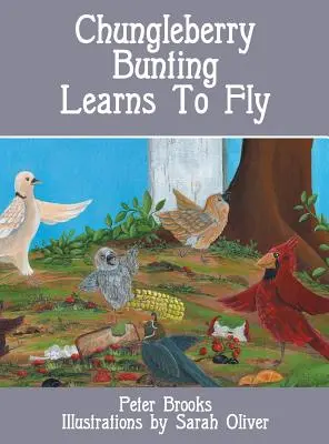 Čungleberry Bunting sa učí lietať - Chungleberry Bunting Learns to Fly