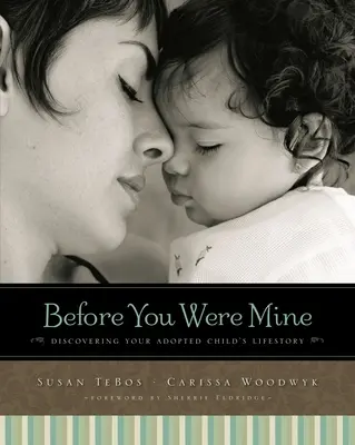 Skôr než si bol môj: Odhaľte životný príbeh svojho adoptovaného dieťaťa - Before You Were Mine: Discovering Your Adopted Child's Lifestory