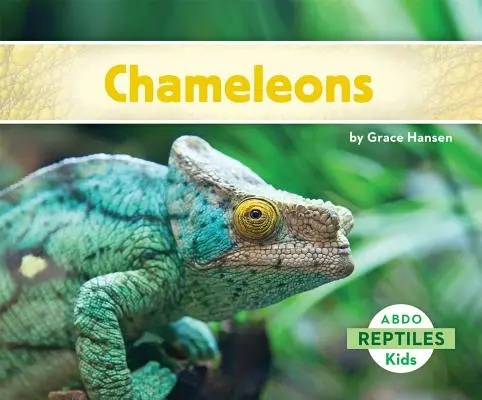 Chameleóny - Chameleons