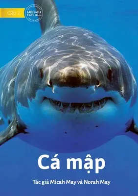 Žraloky - C mập - Sharks - C mập