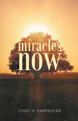 Zázraky teraz - Miracles Now